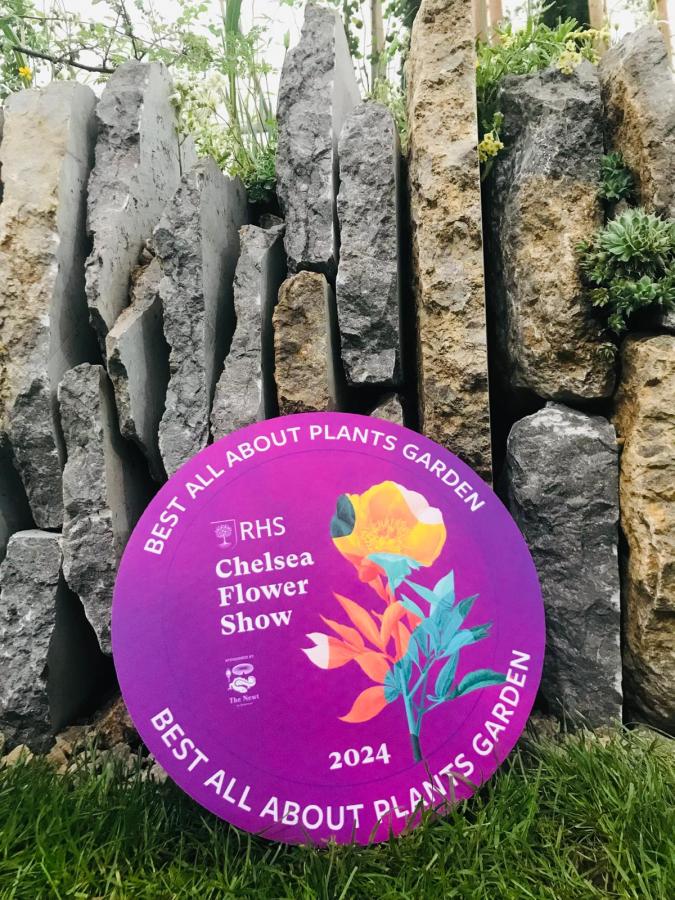 Picture of the Best All About Plants Garden award