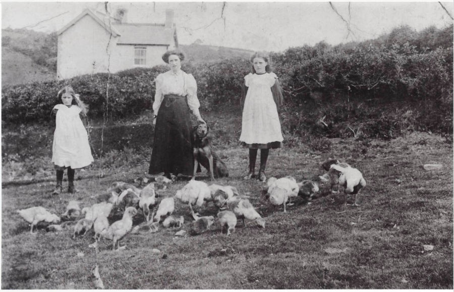 An old, black and white photograph of a woman and two girls with a dog and several chickens