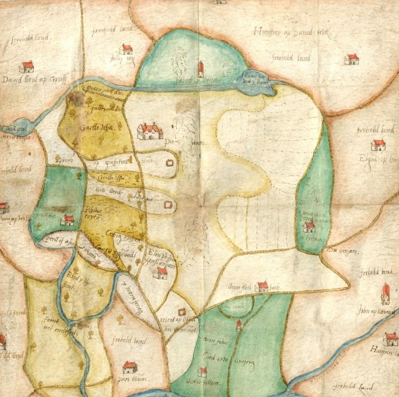 Extract from an historic map showing lots of field boundaries.