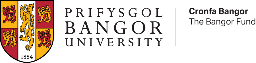 Bangor Fund Logo